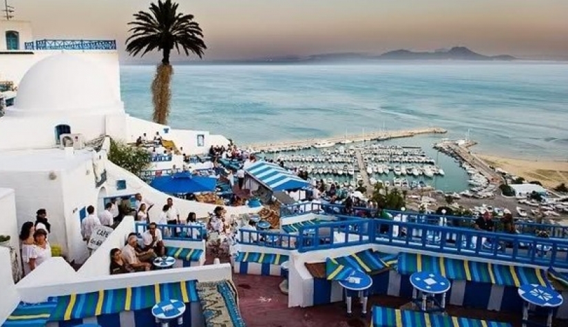 ورقة اقتصادية:  حتى لا تكون بشائر الموسم ظرفية !!!!!